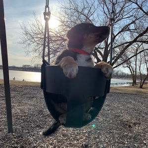 Meet your Posher, Elizabeth